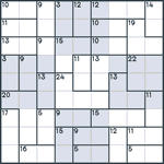 Killer Sudoku #41